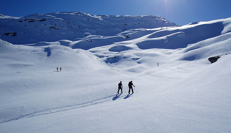 800px-Trip_to_Skorafjell_1.jpg
