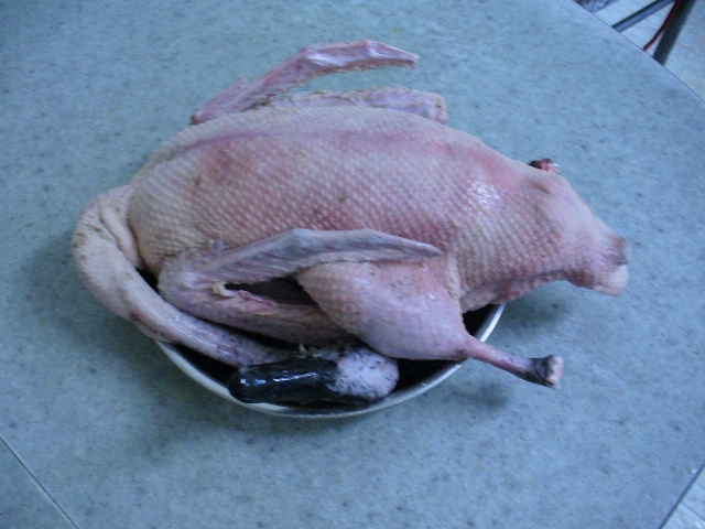 b_p1010991_153.jpg