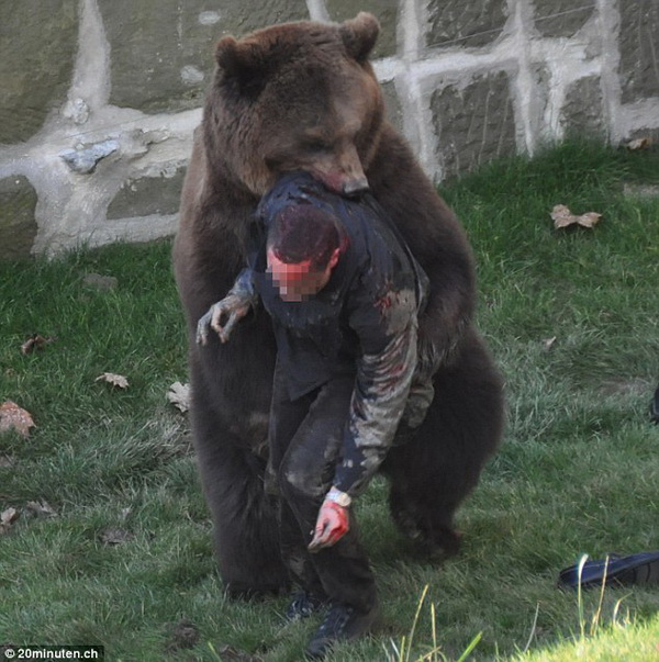 bear-03.jpg