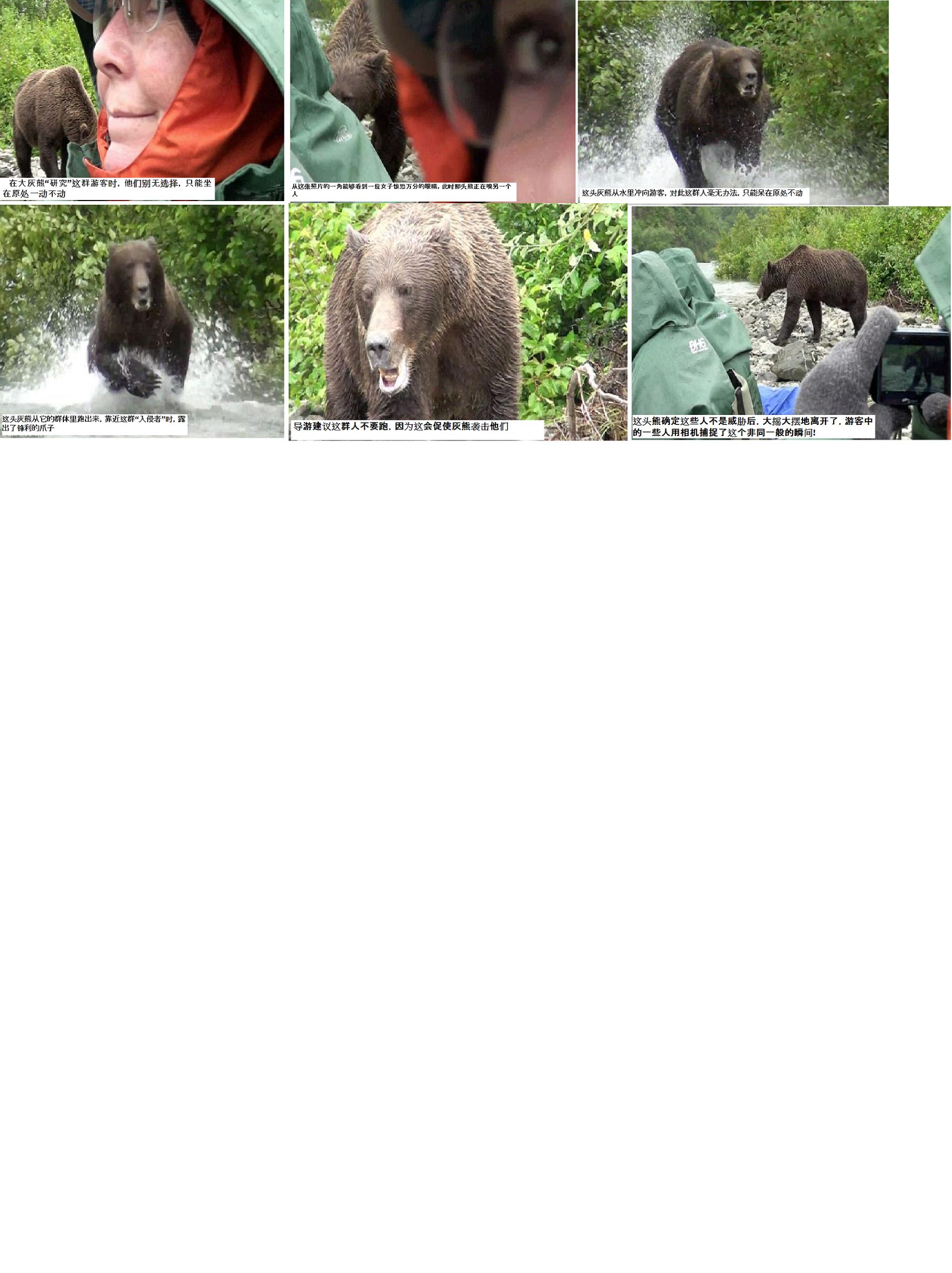 bear=man.jpg