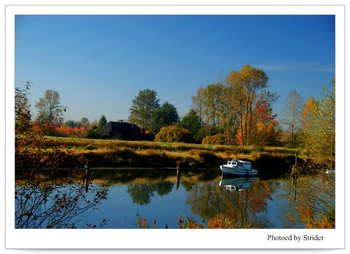 DSC_0109.jpg