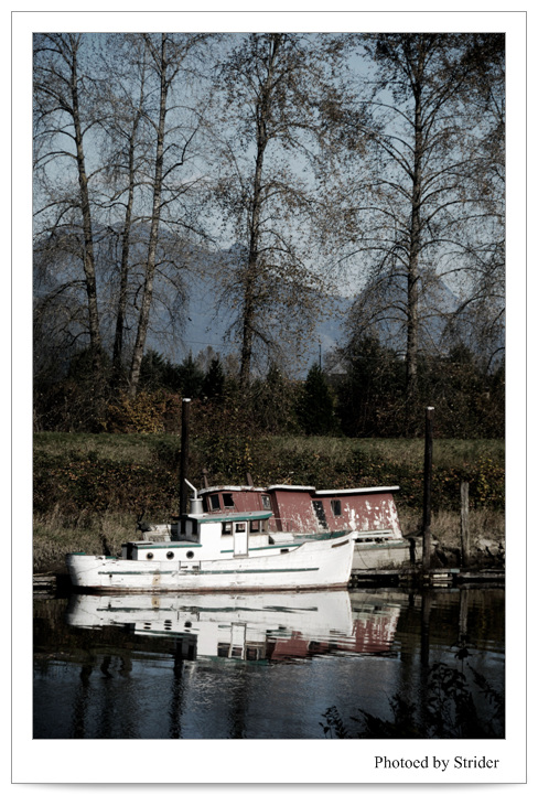 DSC_0310.jpg