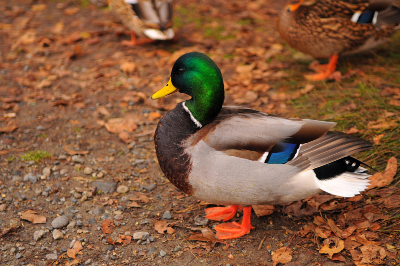 DSC_1250.jpg