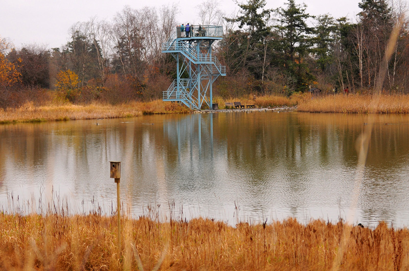 DSC_1491.jpg