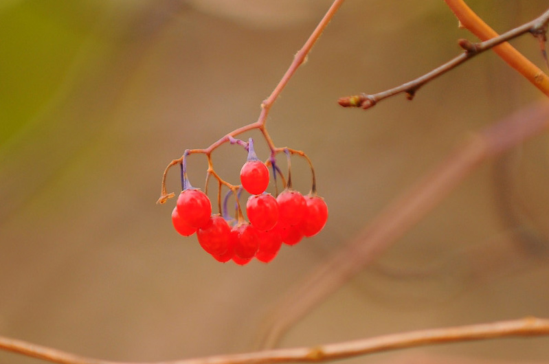 DSC_1624.jpg