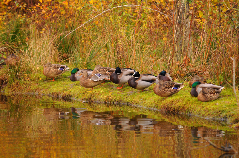 DSC_1652.jpg