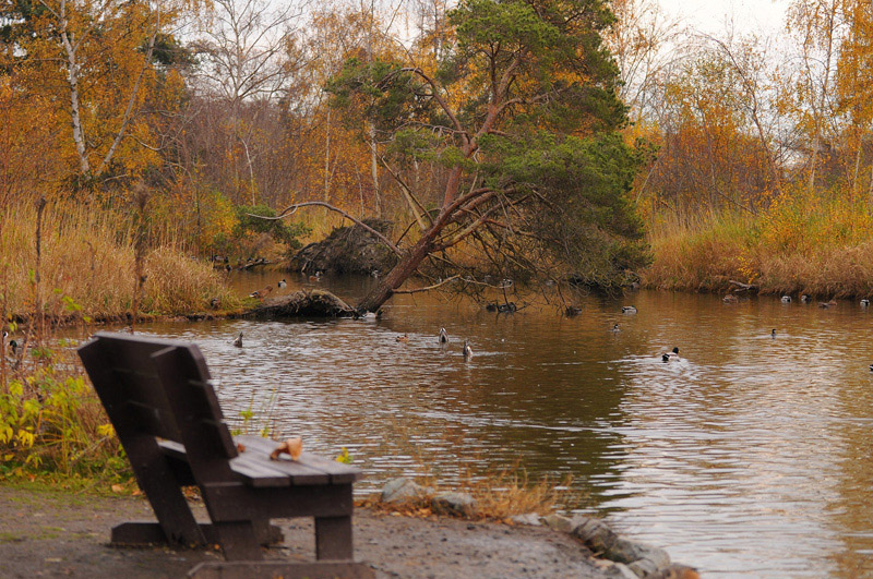 DSC_1722.jpg