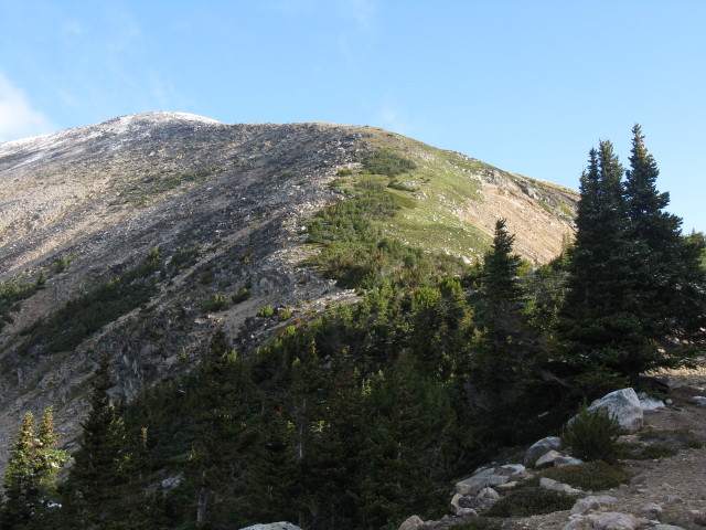 IMG_3564_1.JPG