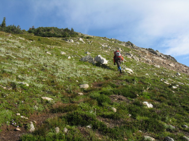 IMG_3589_1.JPG