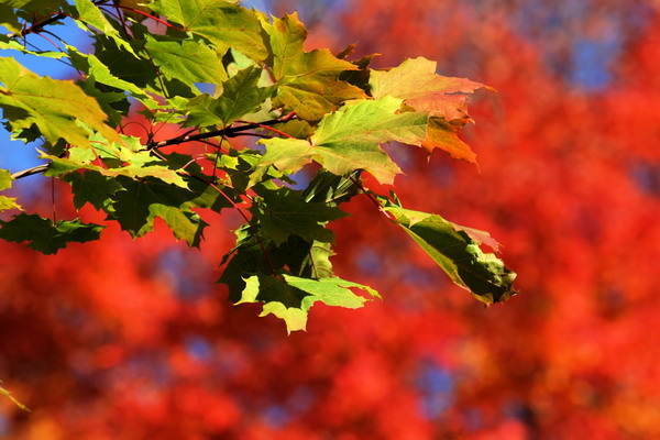 IMG_3802_resize.JPG