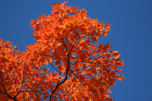 IMG_3862_resize.JPG