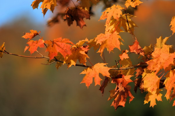 IMG_3970_resize.JPG