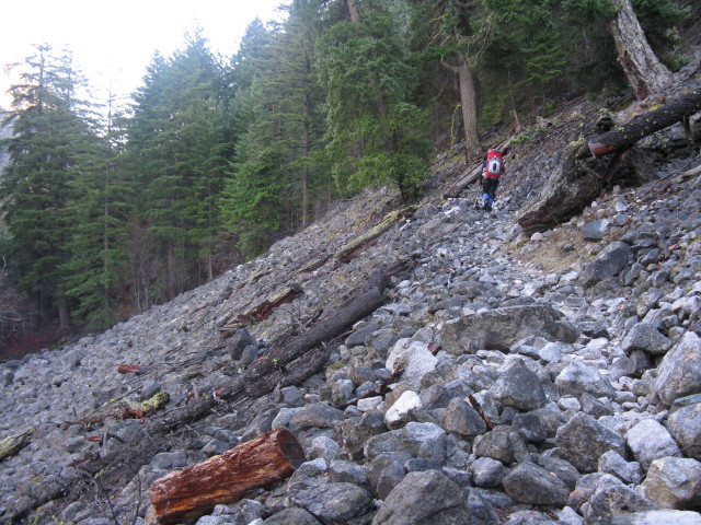 IMG_5665_1.JPG