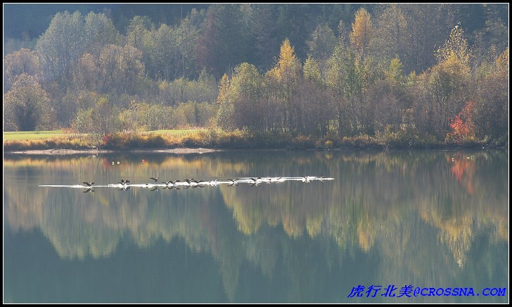 IMG_9358.jpg