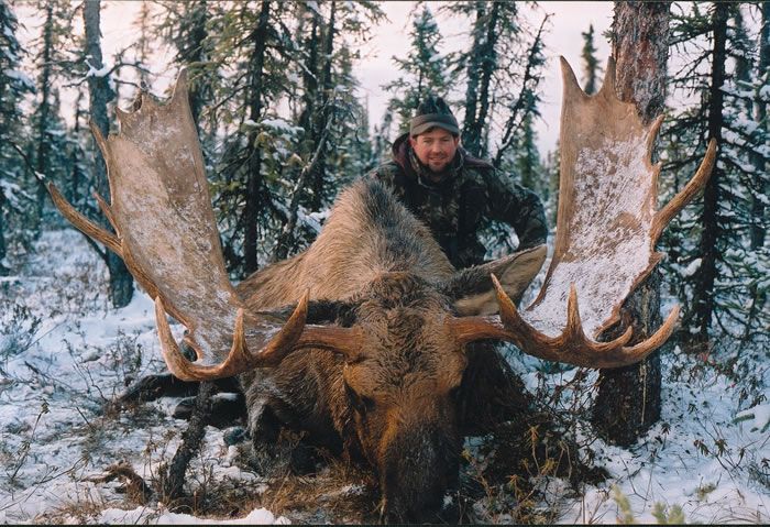 moose------69.jpg