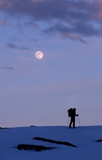 np01600951.jpg