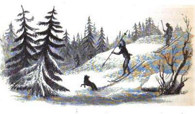 Wolfskidor.jpg